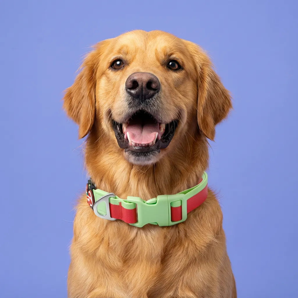 Christmas Collection