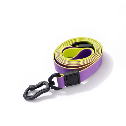 Purple & Gold Embossed Dual-Color Leash