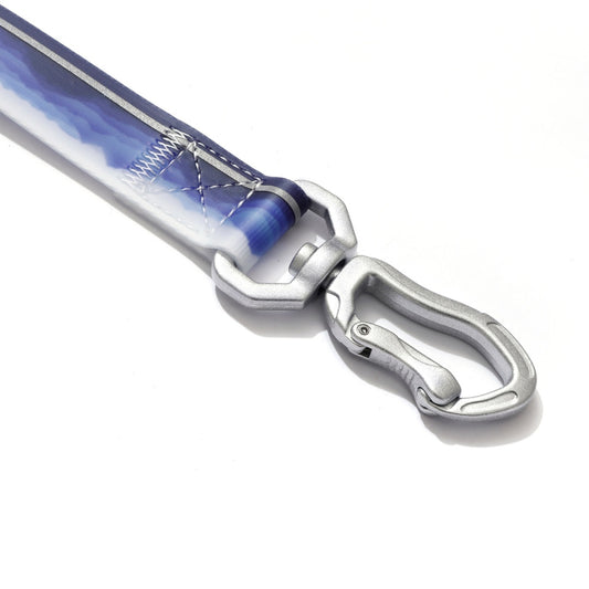 Blue Porcelain Pattern Coated Webbing Leash