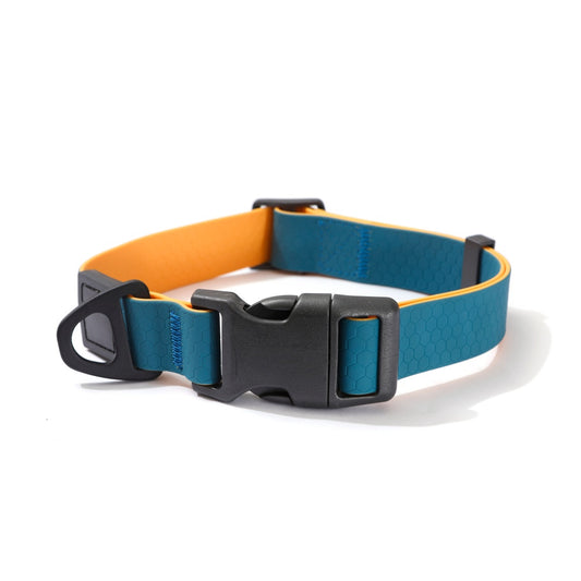 Lake Blue & Orange Embossed Dual-Color collar