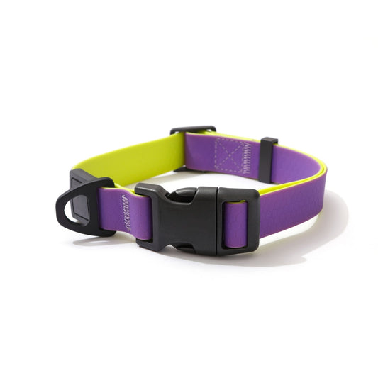 Purple & Gold Embossed Dual-Color Walk Kit