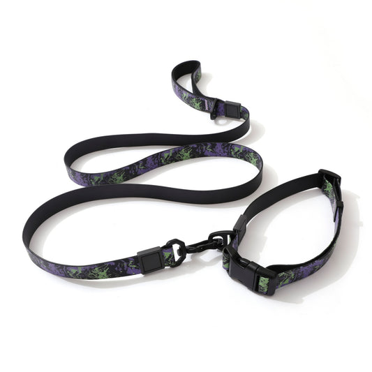 Aurora Pop Graffiti Walk Kit