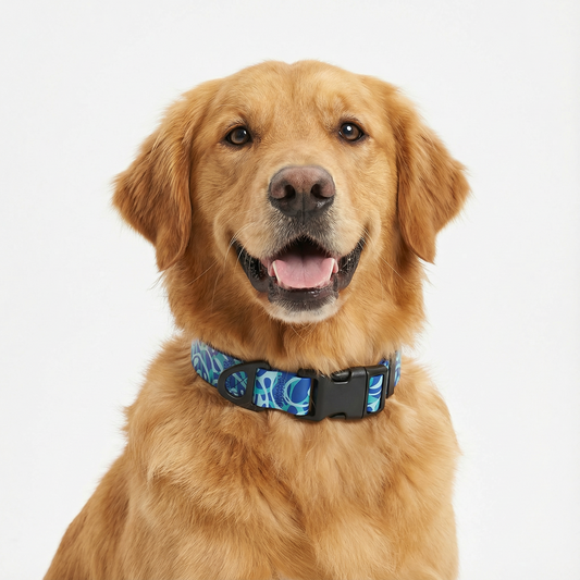 Ocean Totem Pattern Collar