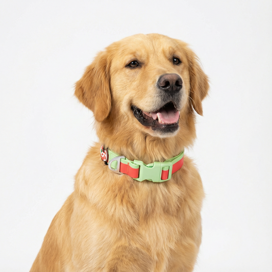 Ruby Mint Christmas Limited Edition Collar