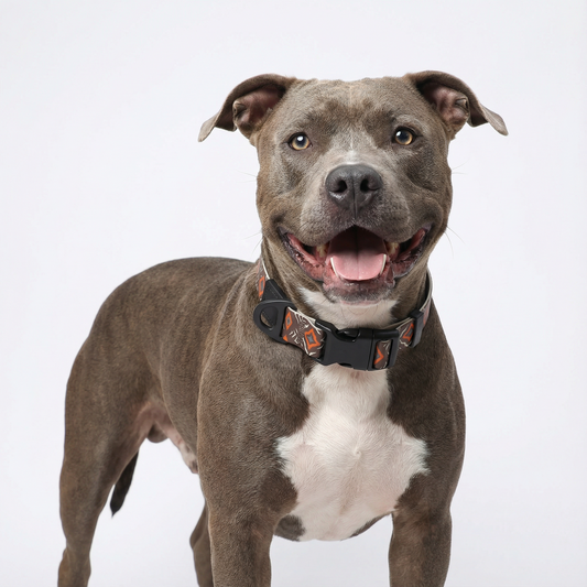 Tribal Totem Pattern Collar