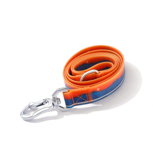 Canyon Sunset Pattern Coated Webbing Leash
