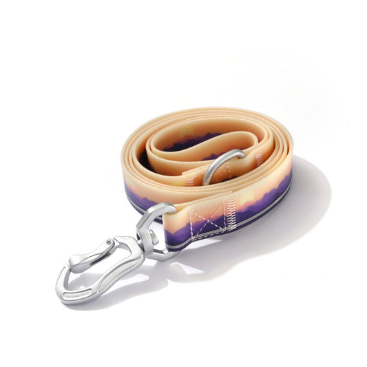 Mountain Sunrise Pattern Coated Webbing Leash