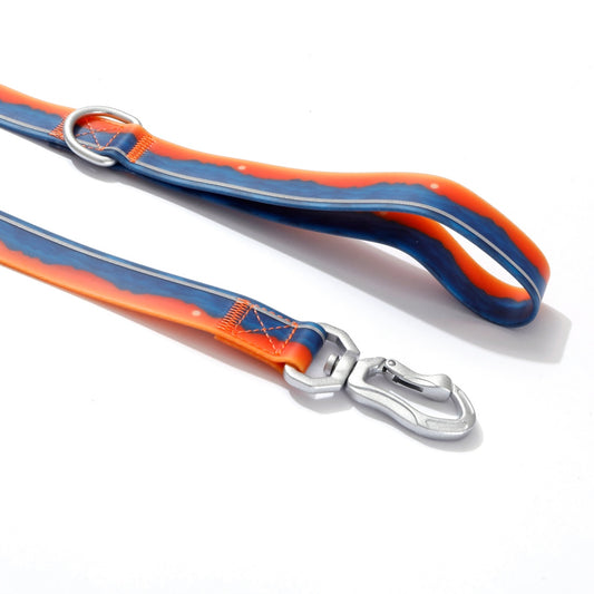 Canyon Sunset Pattern Coated Webbing Leash