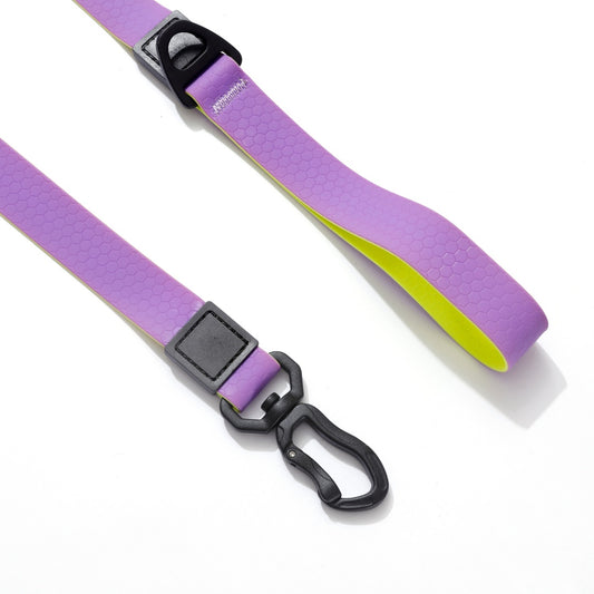 Purple & Gold Embossed Dual-Color Leash
