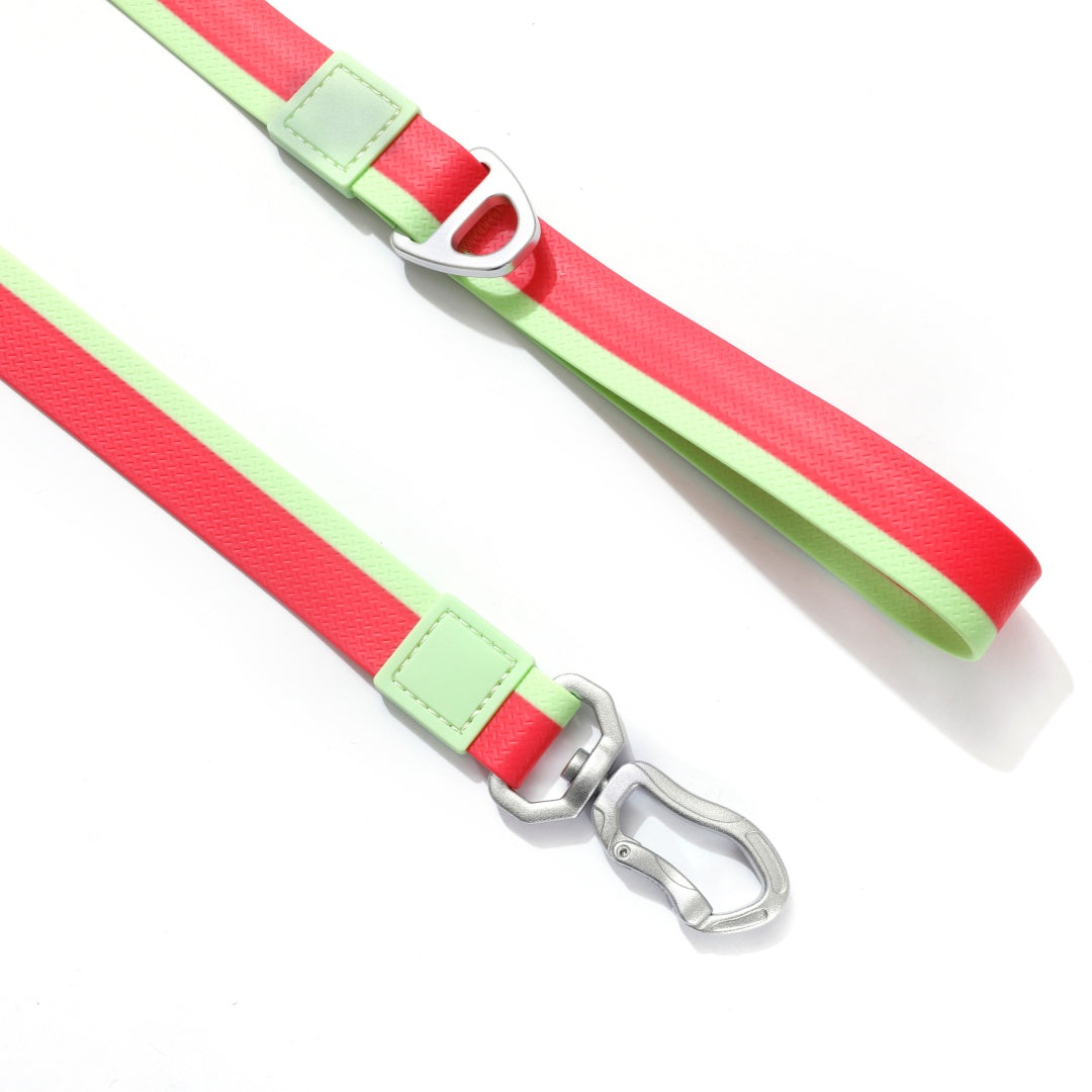 Ruby Mint Christmas Limited Edition Leash