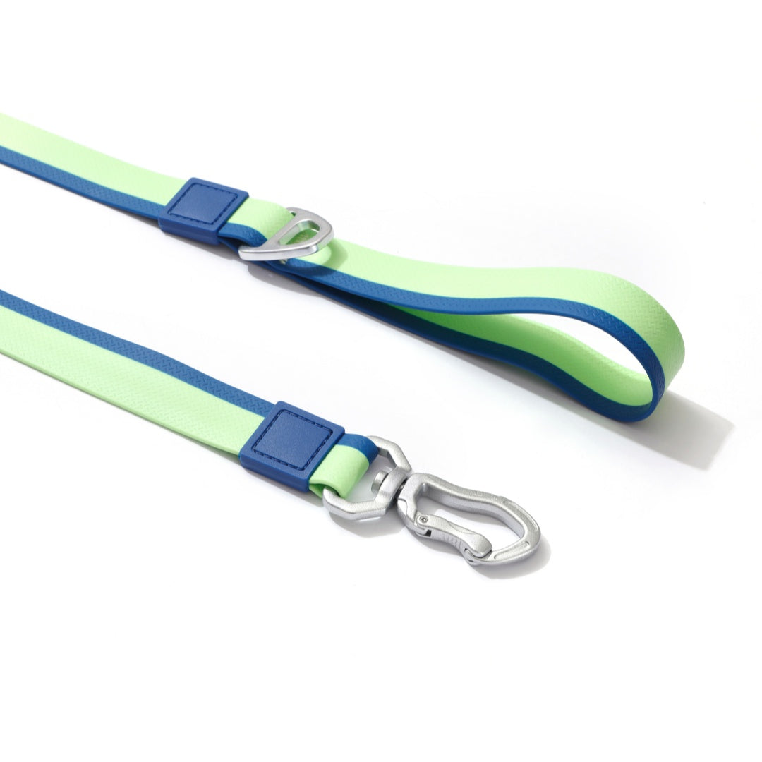 Ocean Breeze Christmas Limited Edition Leash