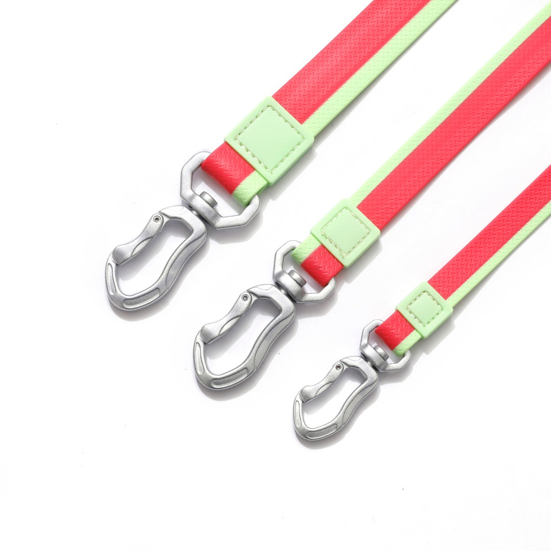 Ruby Mint Christmas Limited Edition Leash