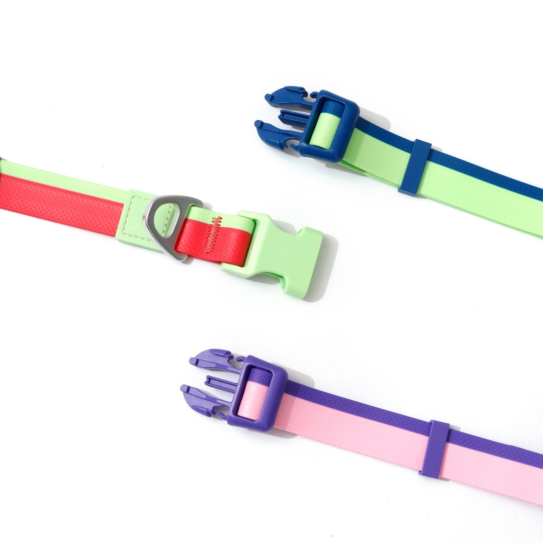 Ocean Breeze Christmas Limited Edition Collar